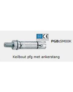 Keilbout PFG - SB ankerstang M 10x10.00x80mm (15 stuks)